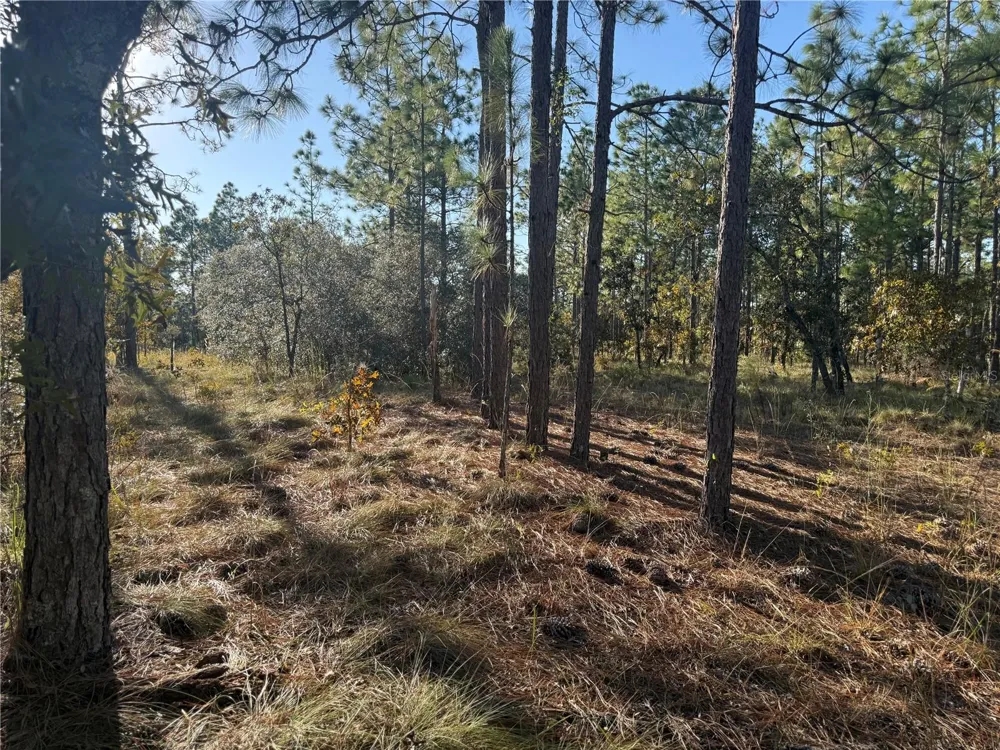 00 SE 73RD LANE Morriston, FL 32668