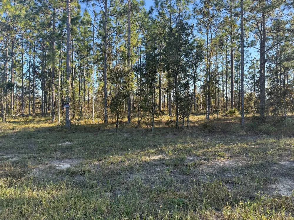00 SE 73RD LANE Morriston, FL 32668