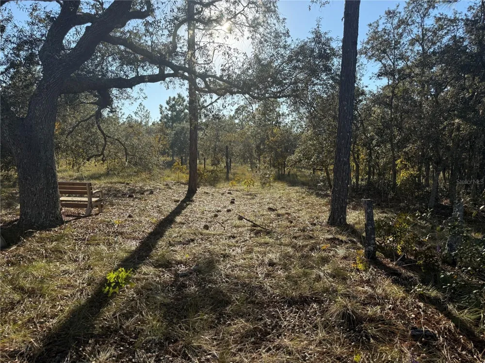 00 SE 73RD LANE Morriston, FL 32668