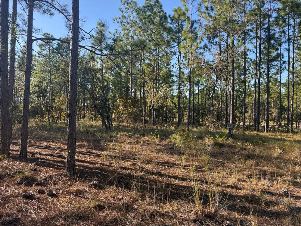 00 SE 73RD LANE Morriston, FL 32668