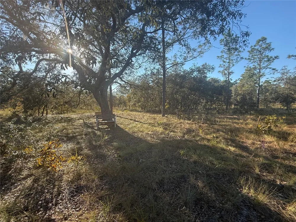 00 SE 73RD LANE Morriston, FL 32668