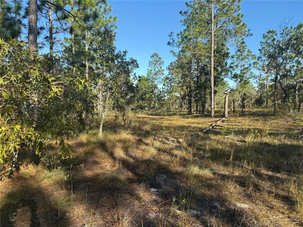 00 SE 73RD LANE Morriston, FL 32668