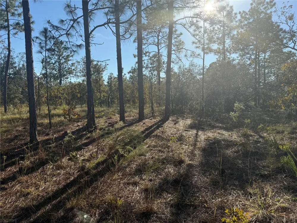 00 SE 73RD LANE Morriston, FL 32668