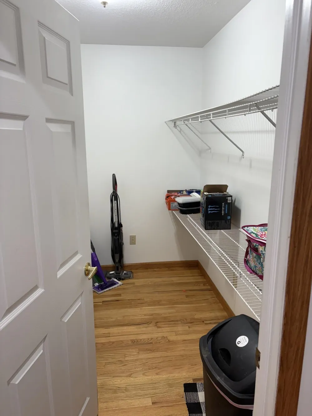 99 Alamando Road Greendale Township, MI 48883