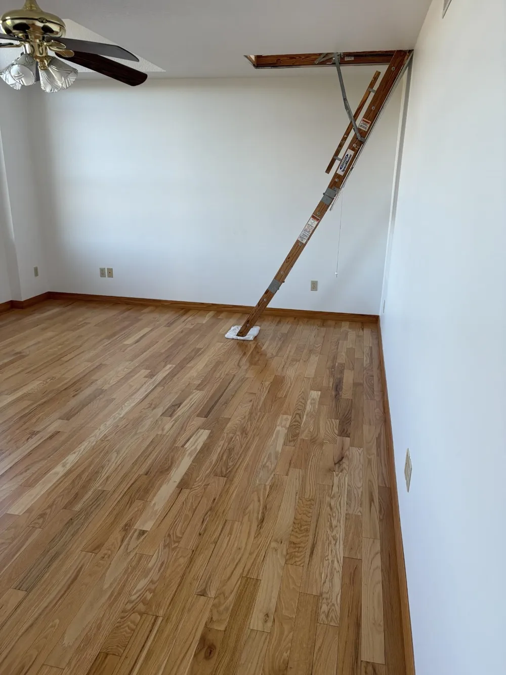 99 Alamando Road Greendale Township, MI 48883
