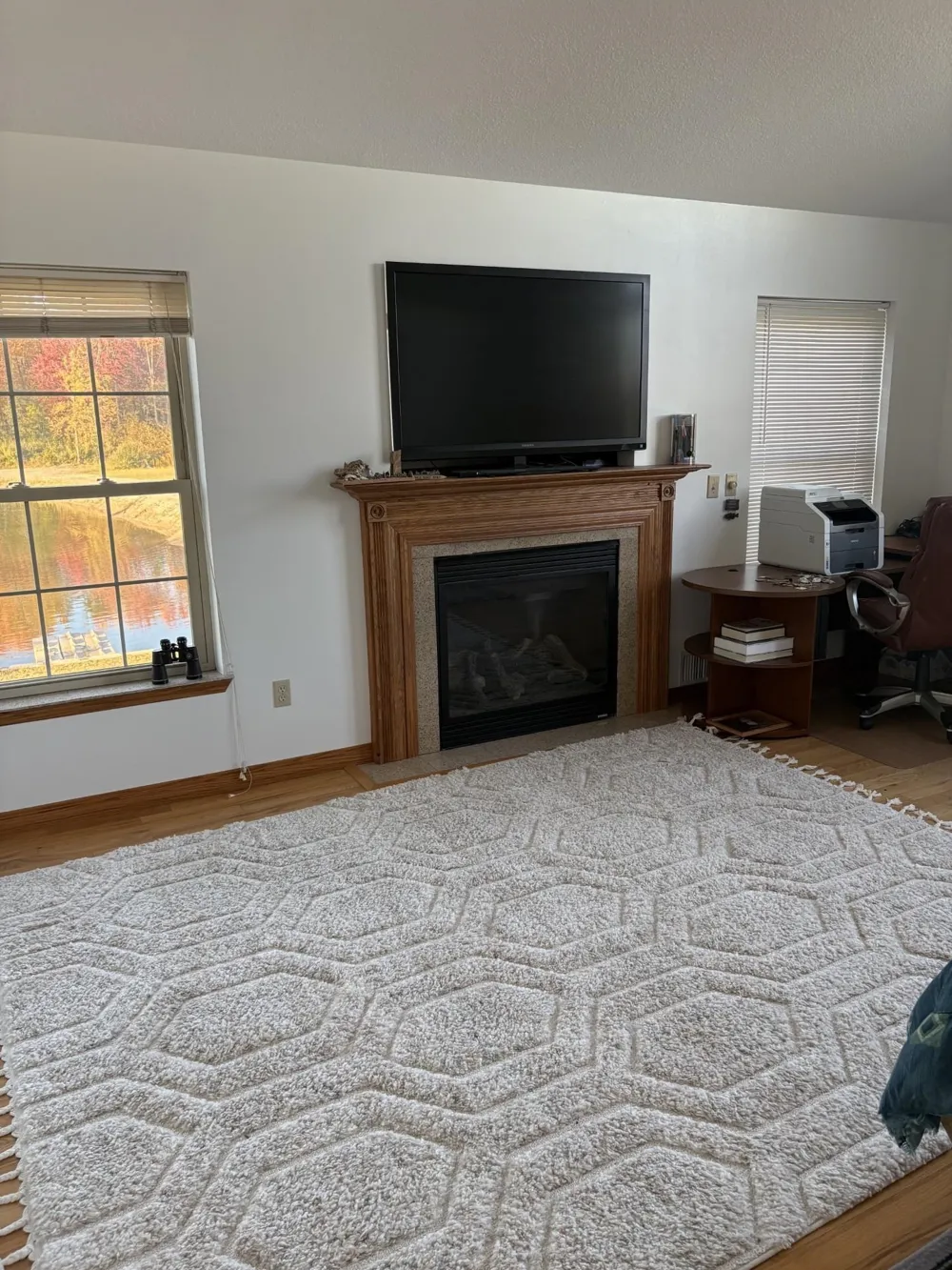 99 Alamando Road Greendale Township, MI 48883