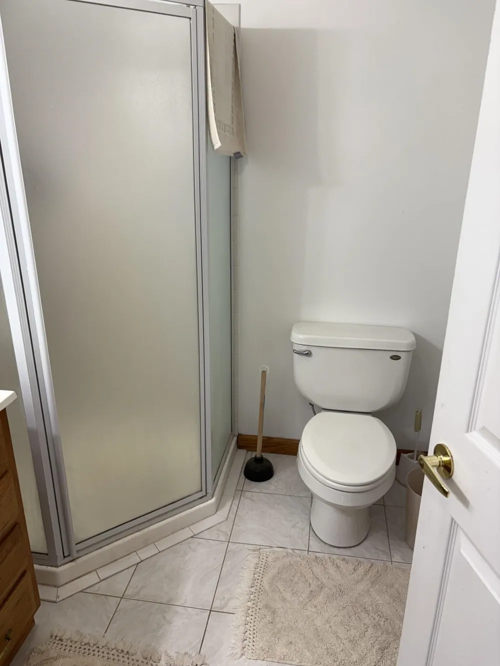 99 Alamando Road Greendale Township, MI 48883