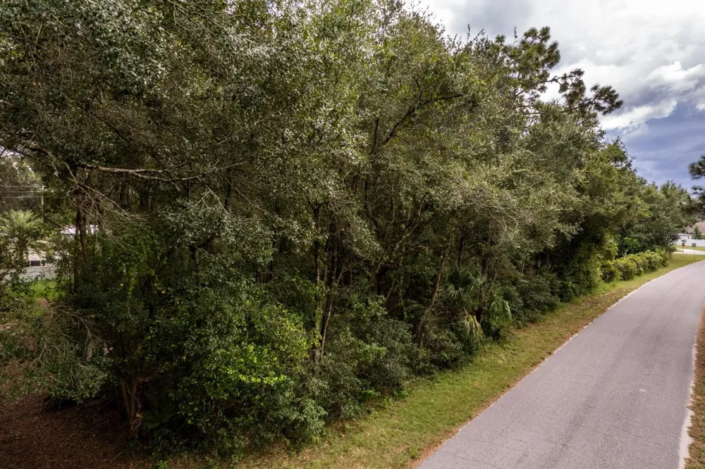 INTERLACHEN DRIVE Mount Plymouth, FL 32776