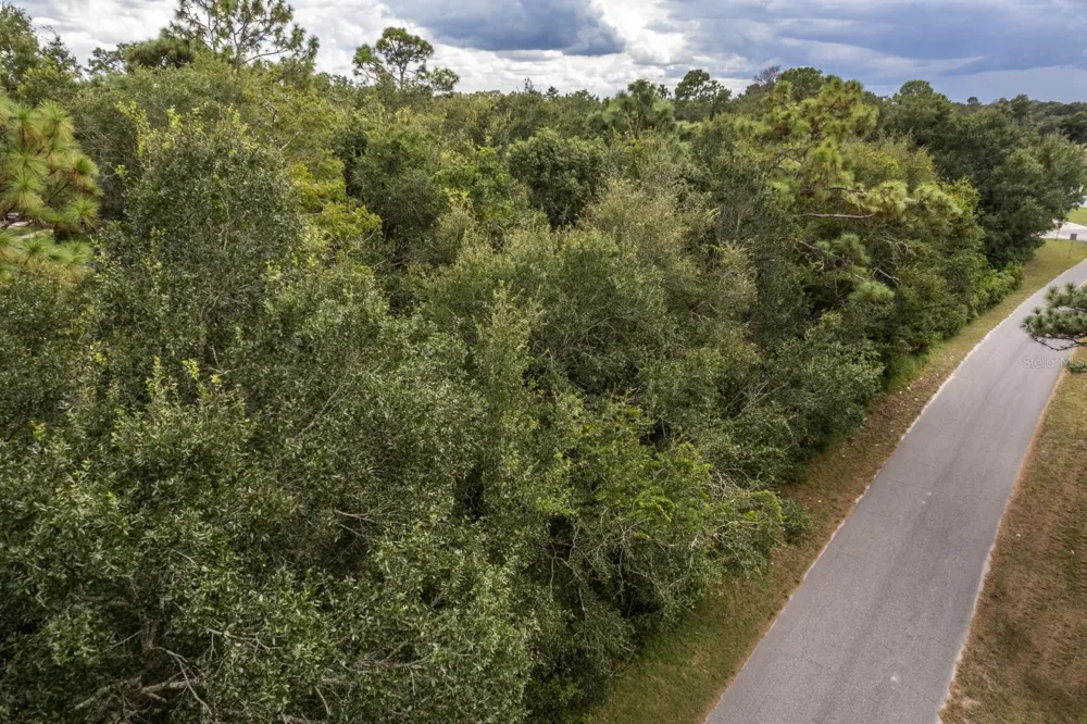 INTERLACHEN DRIVE Mount Plymouth, FL 32776
