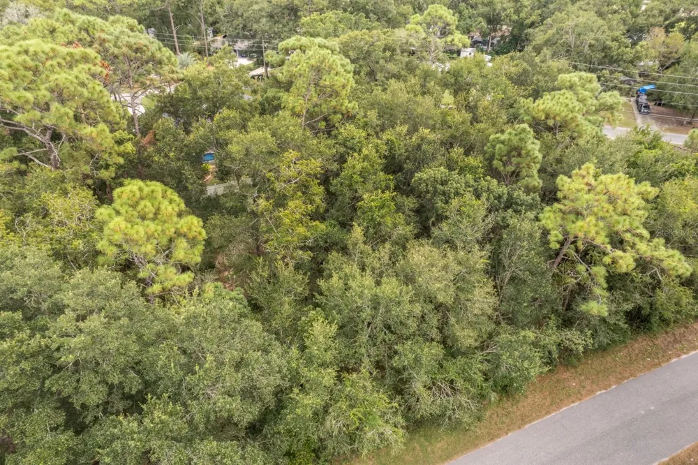 INTERLACHEN DRIVE Mount Plymouth, FL 32776