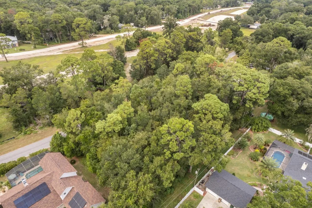 INTERLACHEN DRIVE Mount Plymouth, FL 32776