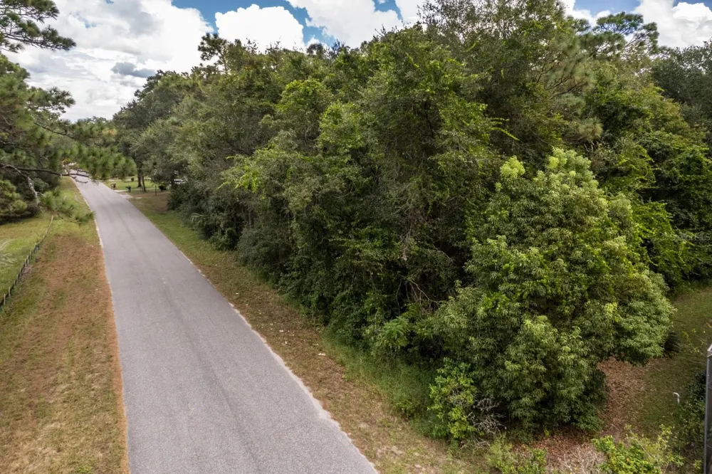 INTERLACHEN DRIVE Mount Plymouth, FL 32776