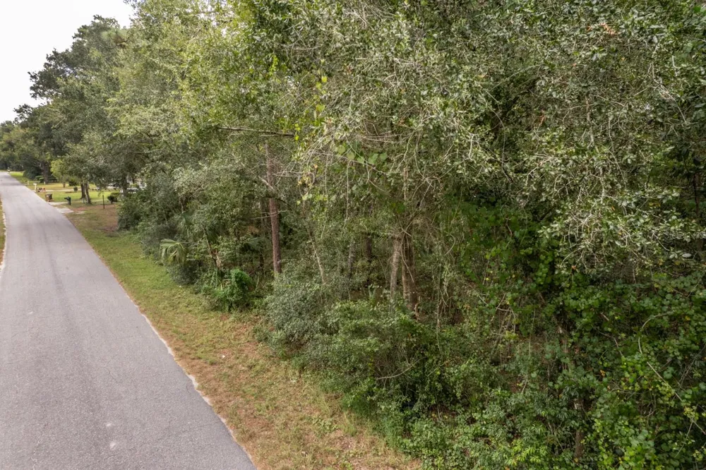 INTERLACHEN DRIVE Mount Plymouth, FL 32776