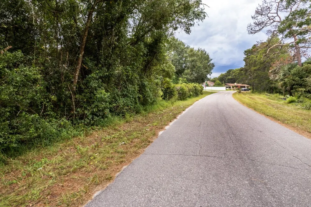 INTERLACHEN DRIVE Mount Plymouth, FL 32776
