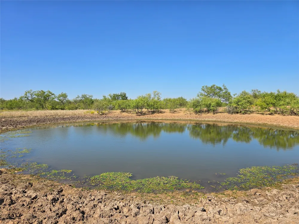 CR 498 Goldsboro, TX 79519