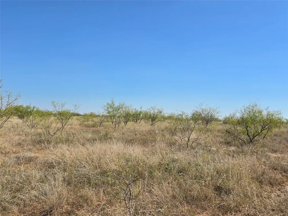 CR 498 Goldsboro, TX 79519