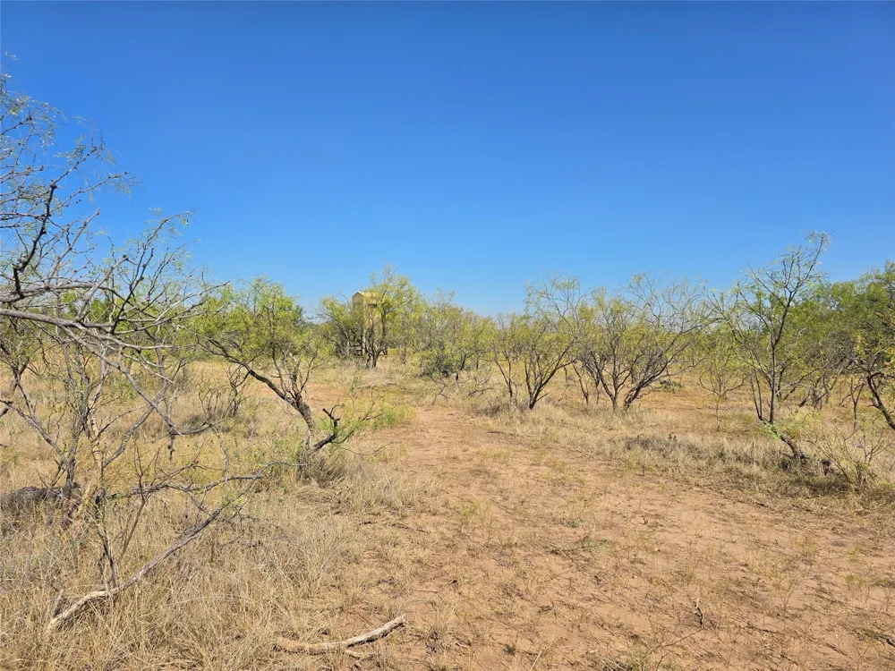 CR 498 Goldsboro, TX 79519