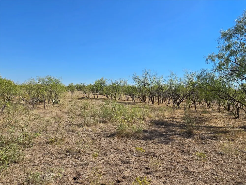 CR 498 Goldsboro, TX 79519