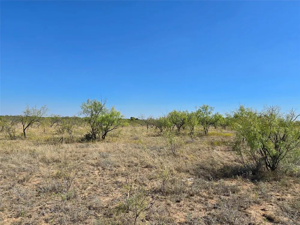 CR 498 Goldsboro, TX 79519