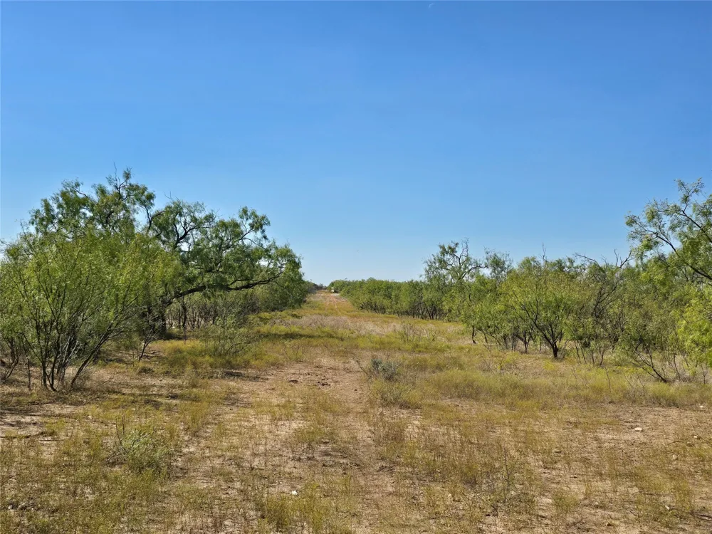 CR 498 Goldsboro, TX 79519