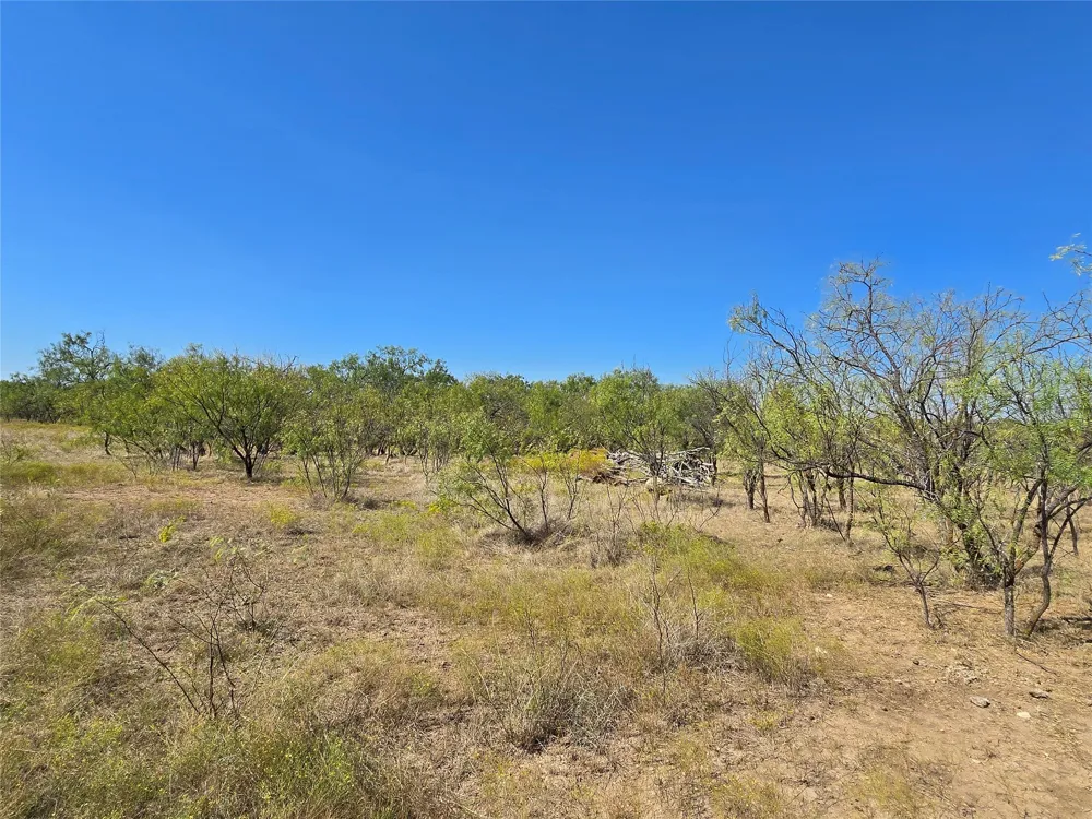 CR 498 Goldsboro, TX 79519