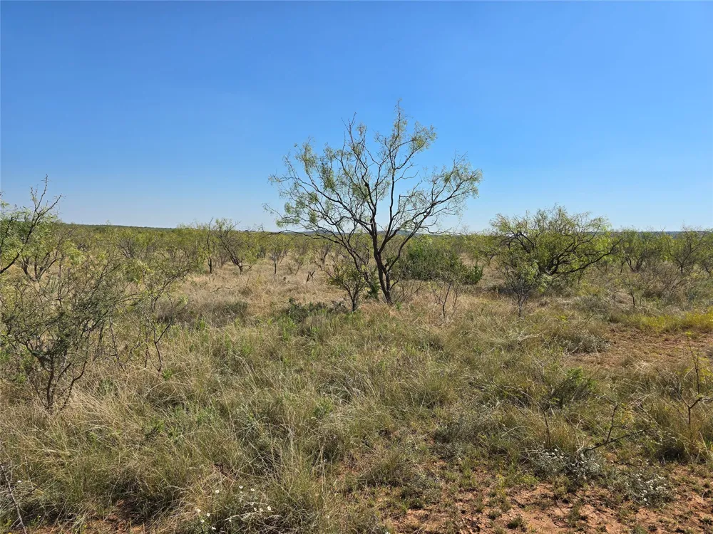 CR 498 Goldsboro, TX 79519