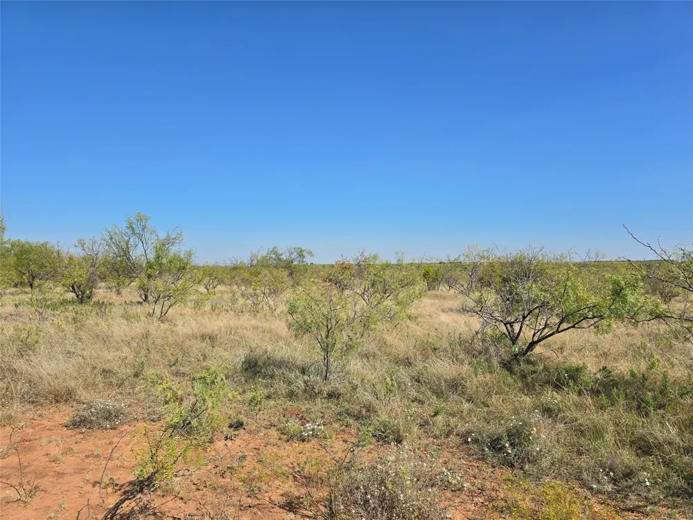 CR 498 Goldsboro, TX 79519