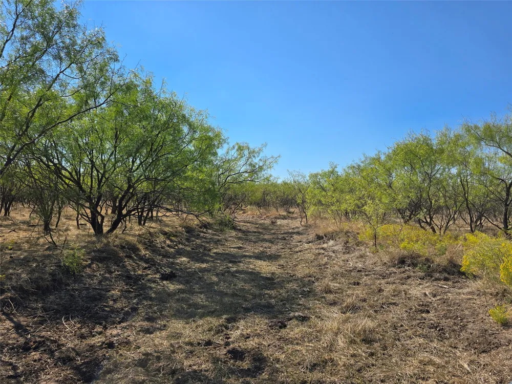 CR 498 Goldsboro, TX 79519