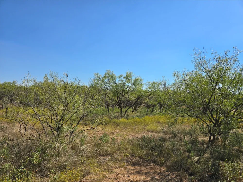CR 498 Goldsboro, TX 79519