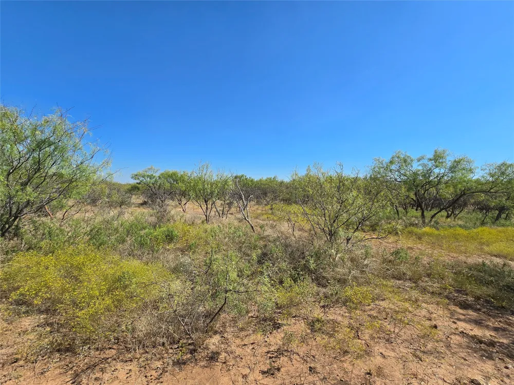 CR 498 Goldsboro, TX 79519