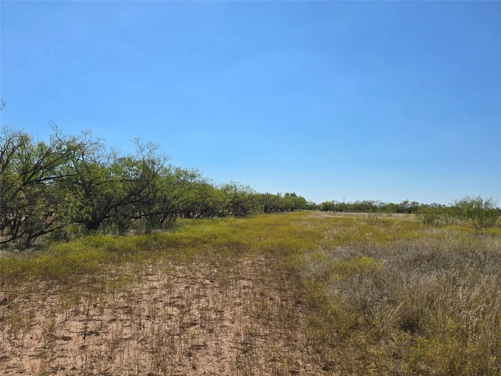 CR 498 Goldsboro, TX 79519