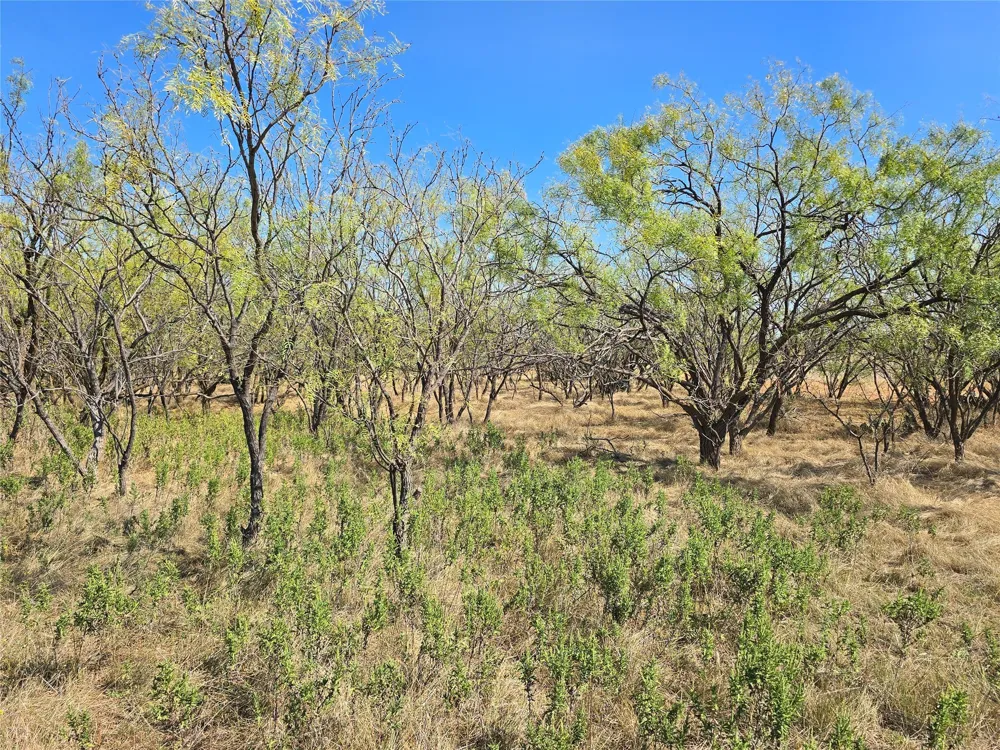 CR 498 Goldsboro, TX 79519