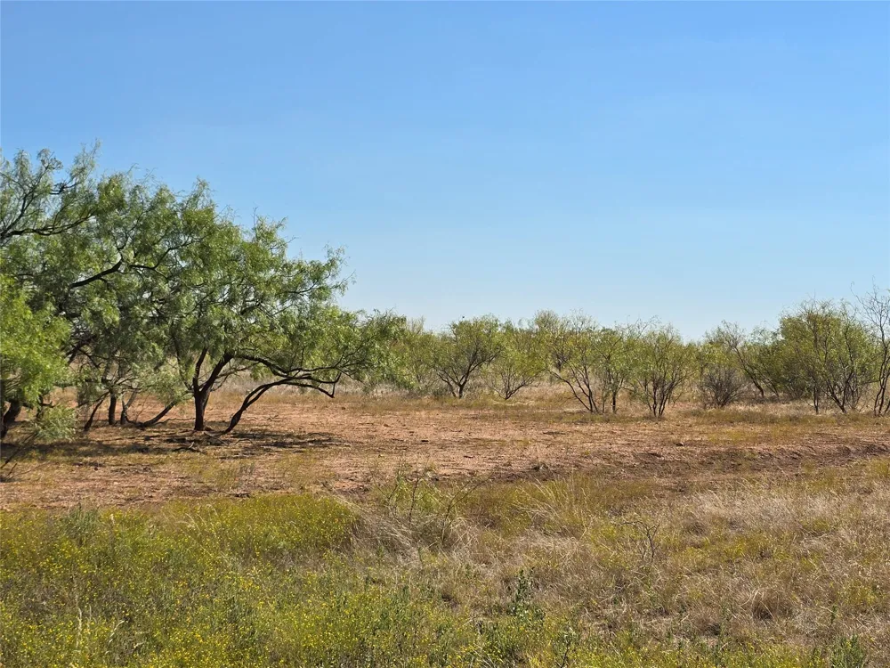CR 498 Goldsboro, TX 79519