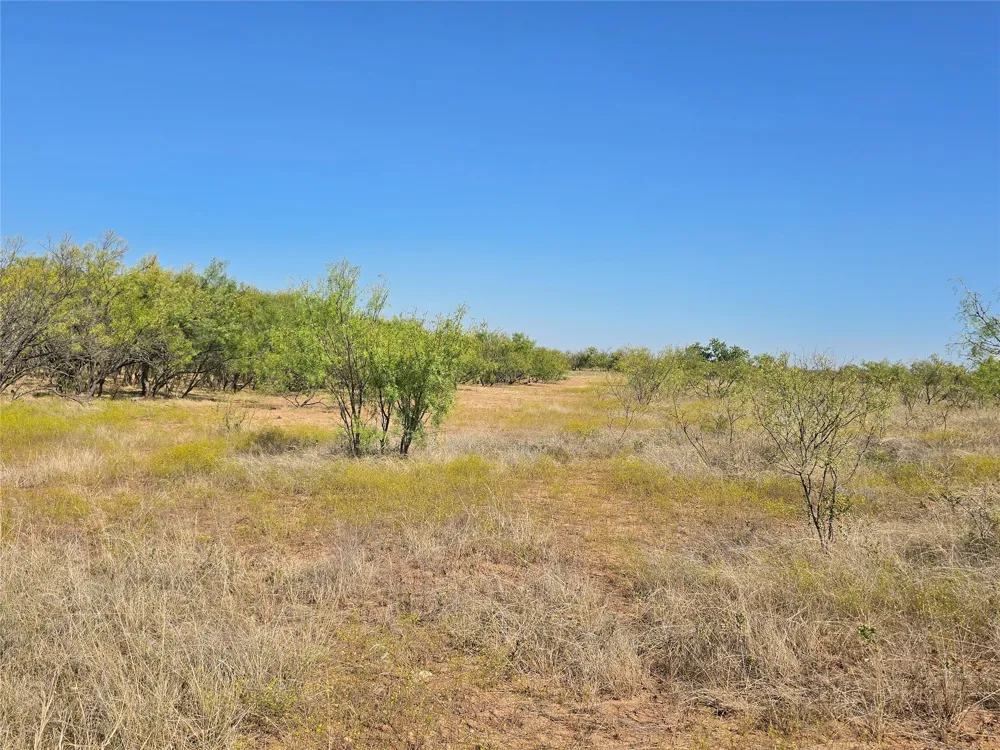CR 498 Goldsboro, TX 79519