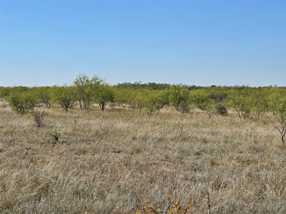 CR 498 Goldsboro, TX 79519
