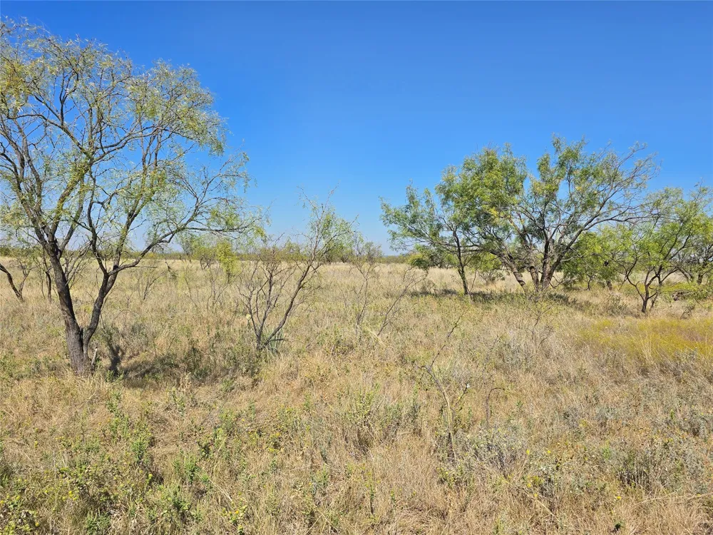 CR 498 Goldsboro, TX 79519