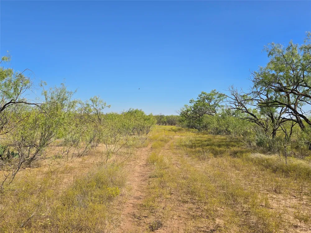 CR 498 Goldsboro, TX 79519