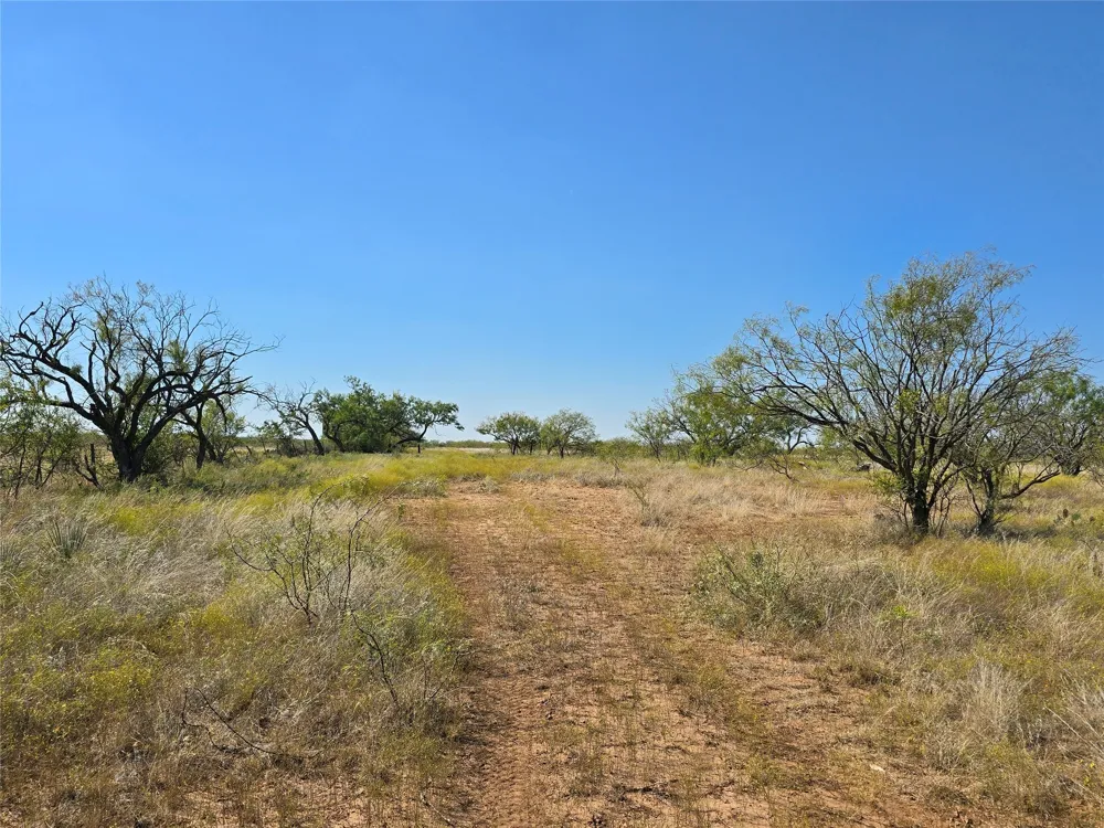 CR 498 Goldsboro, TX 79519