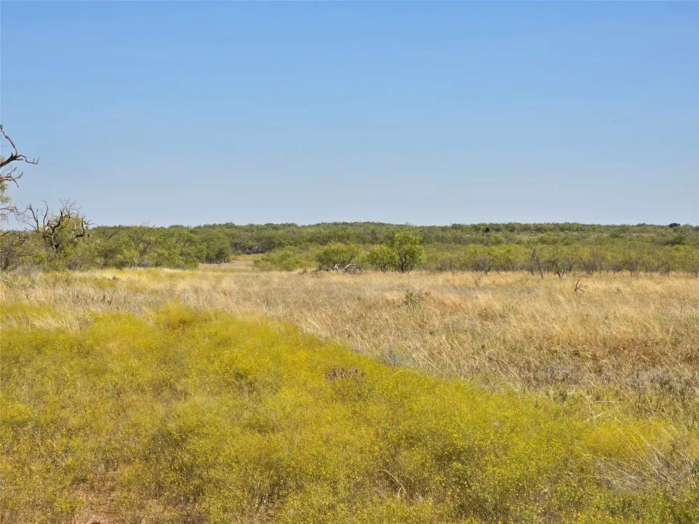 CR 498 Goldsboro, TX 79519