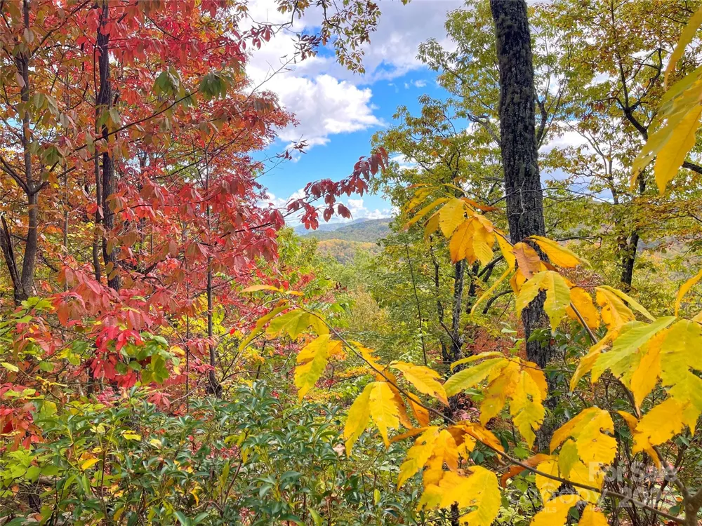 57 Grouse Ridge Drive Black Mountain, NC 28711