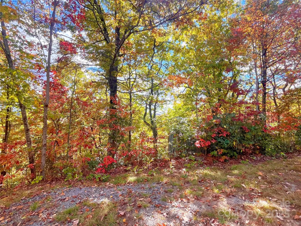 57 Grouse Ridge Drive Black Mountain, NC 28711