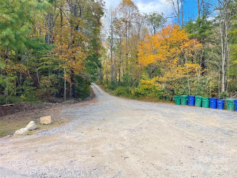 57 Grouse Ridge Drive Black Mountain, NC 28711