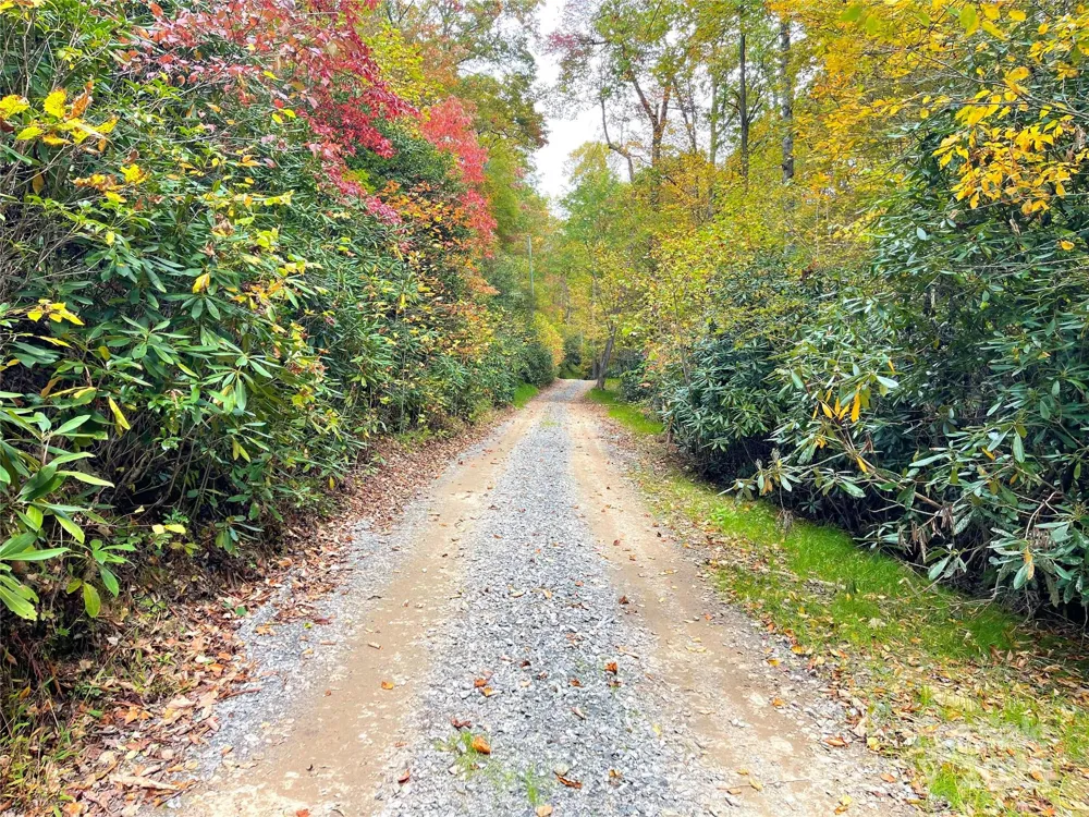 57 Grouse Ridge Drive Black Mountain, NC 28711