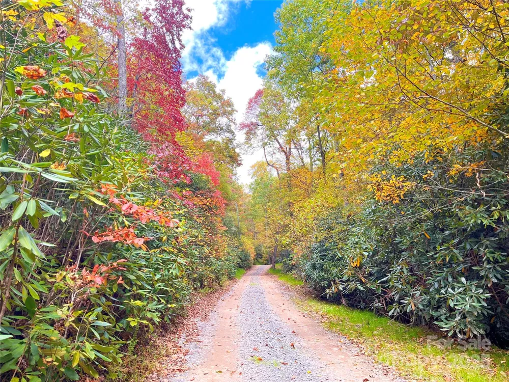 57 Grouse Ridge Drive Black Mountain, NC 28711