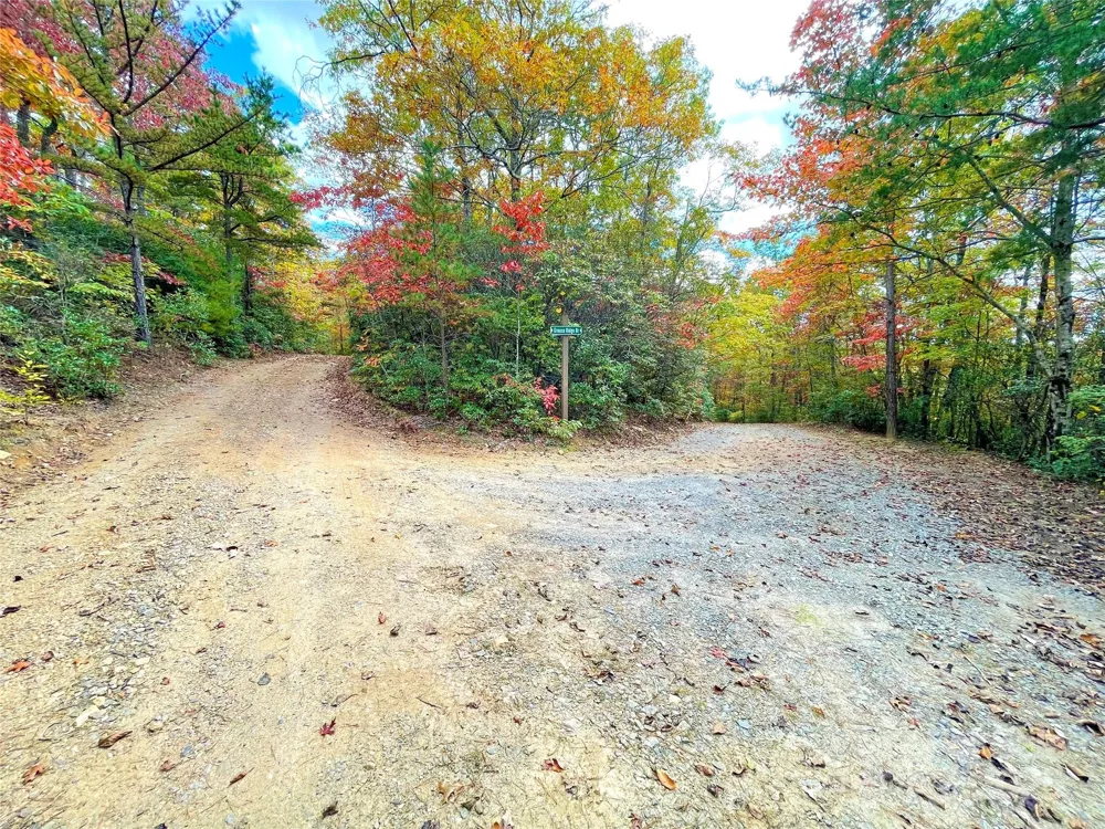 57 Grouse Ridge Drive Black Mountain, NC 28711