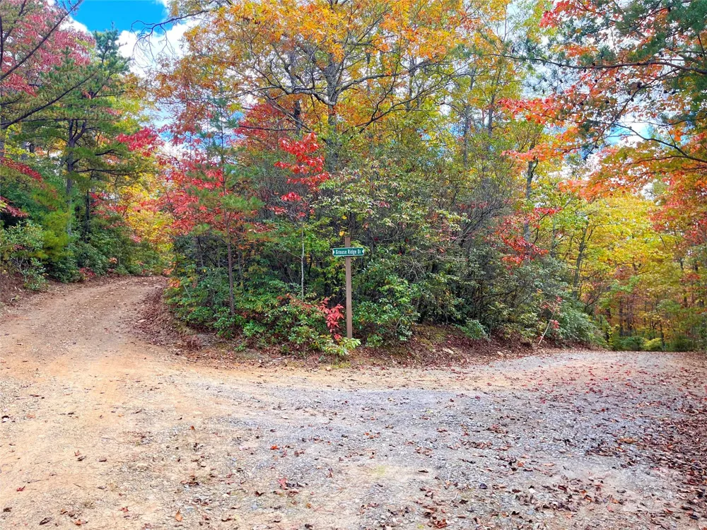 57 Grouse Ridge Drive Black Mountain, NC 28711