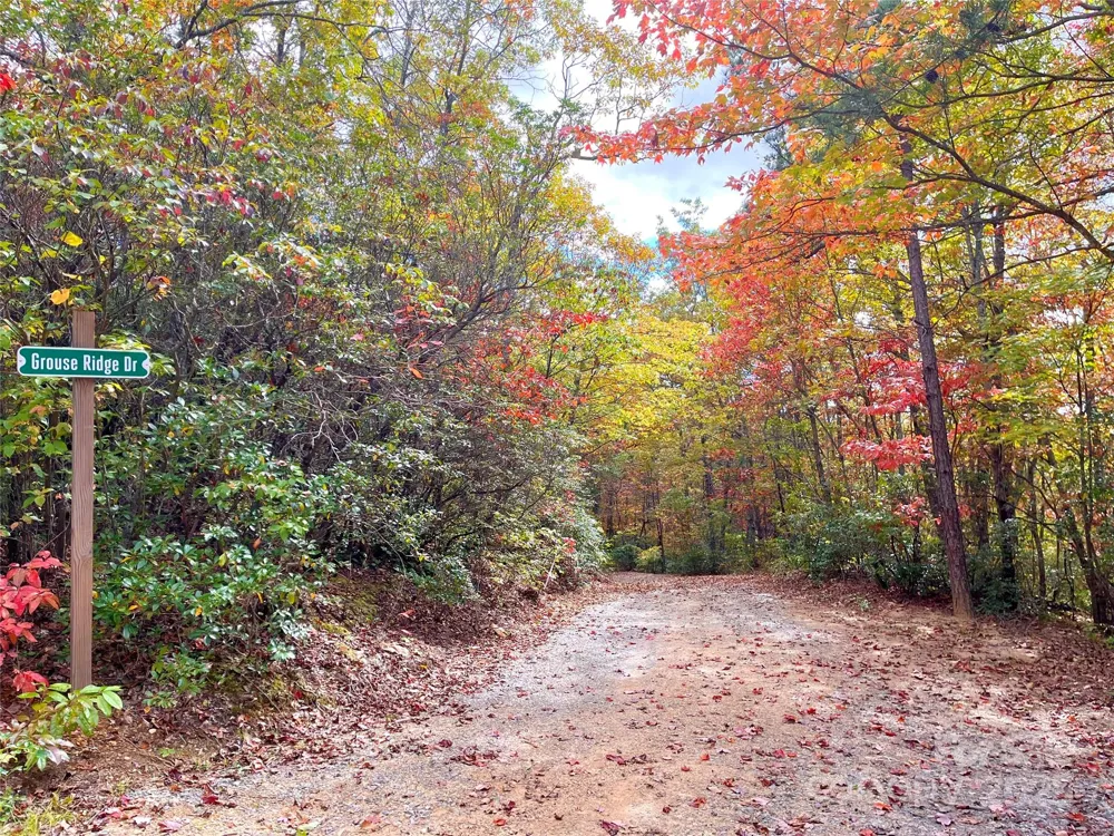57 Grouse Ridge Drive Black Mountain, NC 28711