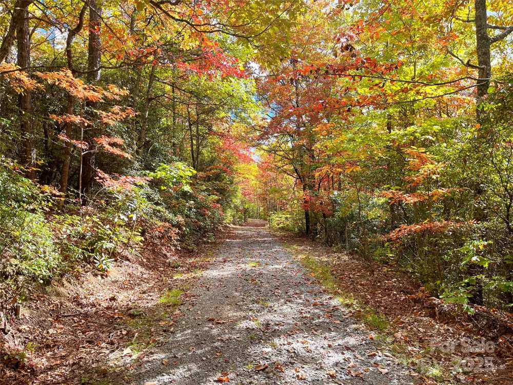 57 Grouse Ridge Drive Black Mountain, NC 28711