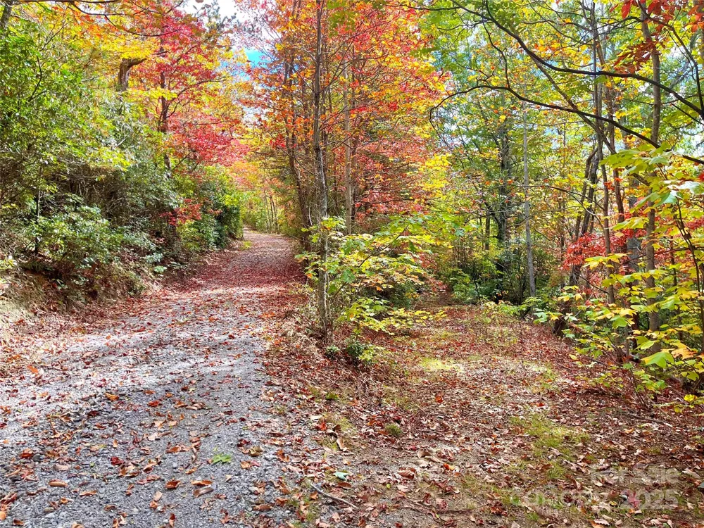 57 Grouse Ridge Drive Black Mountain, NC 28711