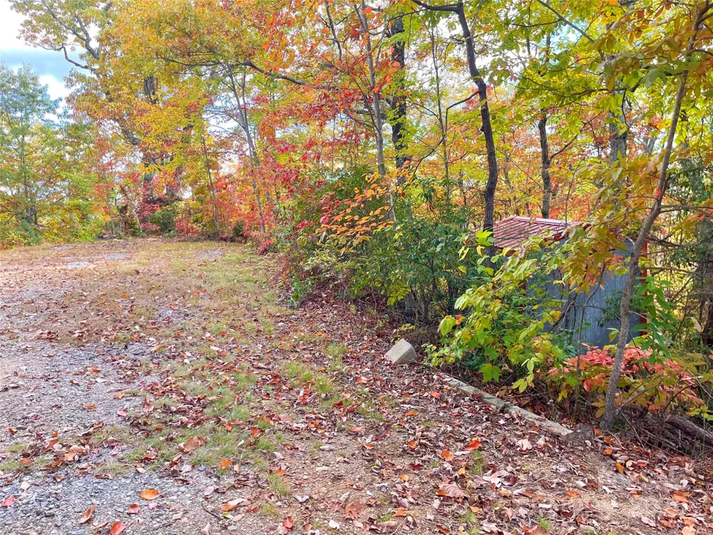57 Grouse Ridge Drive Black Mountain, NC 28711